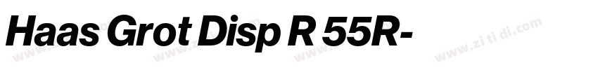 Haas Grot Disp R 55R字体转换 Haas Grot Disp R 55R字体转换